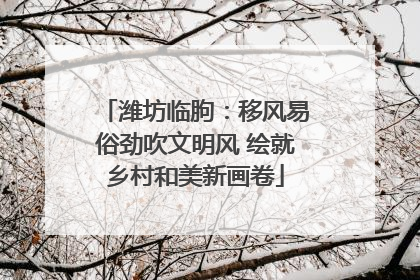 潍坊临朐：移风易俗劲吹文明风 绘就乡村和美新画卷