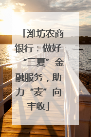 潍坊农商银行：做好“三夏”金融服务，助力“麦”向丰收