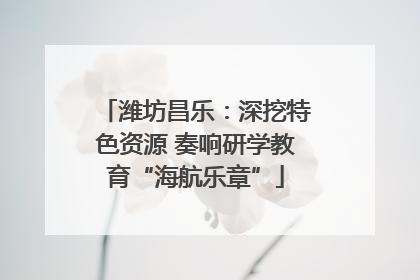 潍坊昌乐：深挖特色资源 奏响研学教育“海航乐章”
