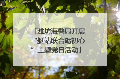 潍坊海警局开展“艇站联合砺初心”主题党日活动