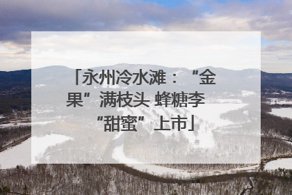 永州冷水滩：“金果”满枝头 蜂糖李“甜蜜”上市