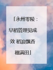 永州零陵：早稻管理见成效 稻浪飘香穗满田
