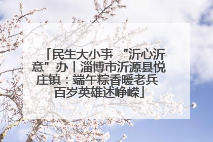 民生大小事 “沂心沂意”办丨淄博市沂源县悦庄镇：端午粽香暖老兵 百岁英雄述峥嵘