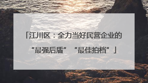 江川区：全力当好民营企业的“最强后盾”“最佳拍档”