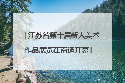 江苏省第十届新人美术作品展览在南通开幕