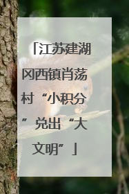 江苏建湖冈西镇肖荡村“小积分”兑出“大文明”