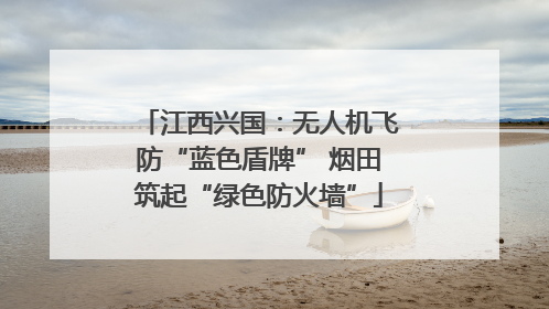 江西兴国：无人机飞防“蓝色盾牌” 烟田筑起“绿色防火墙”