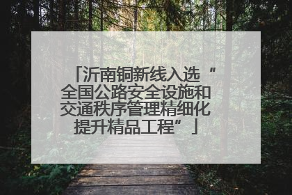 沂南铜新线入选“全国公路安全设施和交通秩序管理精细化提升精品工程”