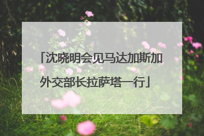 沈晓明会见马达加斯加外交部长拉萨塔一行