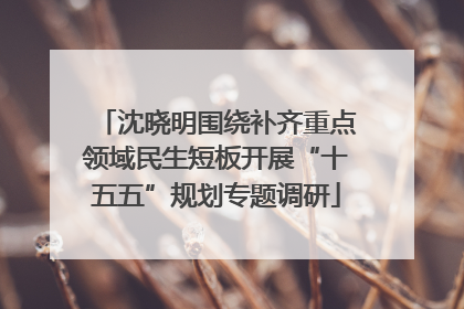 沈晓明围绕补齐重点领域民生短板开展“十五五”规划专题调研