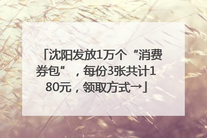 沈阳发放1万个“消费券包”，每份3张共计180元，领取方式→