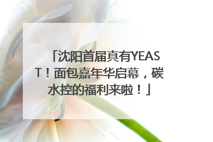 沈阳首届真有YEAST！面包嘉年华启幕，碳水控的福利来啦！