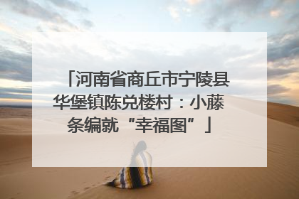 河南省商丘市宁陵县华堡镇陈兑楼村：小藤条编就“幸福图”
