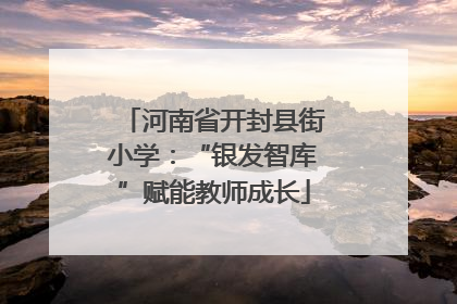 河南省开封县街小学：“银发智库”赋能教师成长