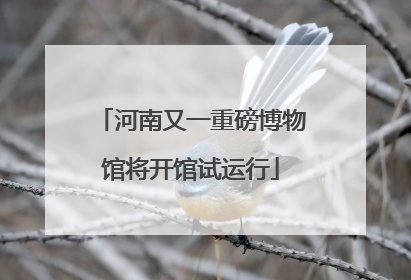 河南又一重磅博物馆将开馆试运行