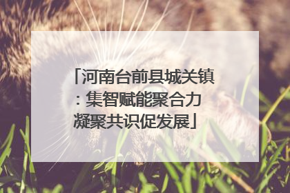 河南台前县城关镇：集智赋能聚合力 凝聚共识促发展