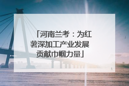 河南兰考：为红薯深加工产业发展贡献巾帼力量