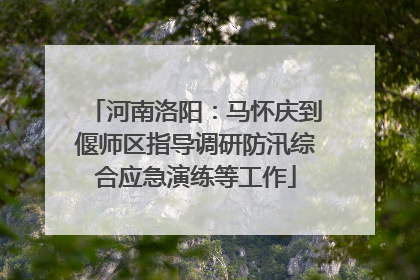 河南洛阳：马怀庆到偃师区指导调研防汛综合应急演练等工作