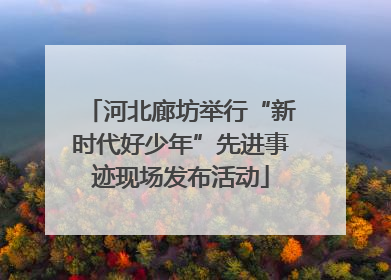 河北廊坊举行“新时代好少年”先进事迹现场发布活动