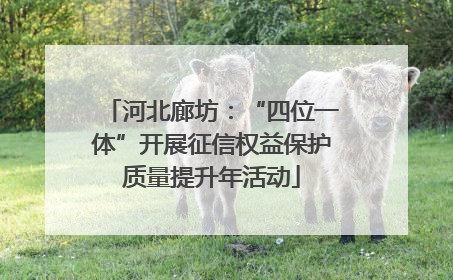 河北廊坊：“四位一体”开展征信权益保护质量提升年活动