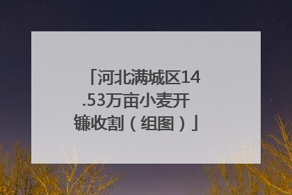 河北满城区14.53万亩小麦开镰收割（组图）