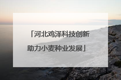 河北鸡泽科技创新助力小麦种业发展