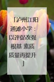 泸州江阳通滩小学：以评促改强根基 素质质量再提升