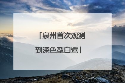 泉州首次观测到深色型白鹭