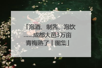泡酒、制酱、泡饮……成都大邑3万亩青梅熟了丨图集