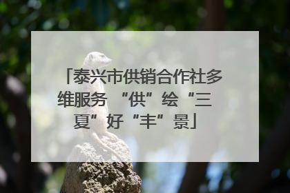 泰兴市供销合作社多维服务 “供”绘“三夏”好“丰”景