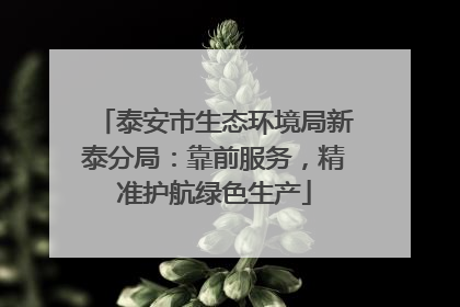 泰安市生态环境局新泰分局：靠前服务，精准护航绿色生产