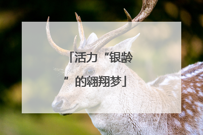 活力“银龄”的翱翔梦