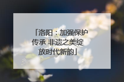 洛阳：加强保护传承 非遗之美绽放时代新韵