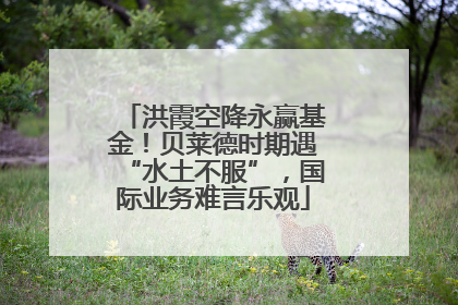 洪霞空降永赢基金！贝莱德时期遇“水土不服”，国际业务难言乐观