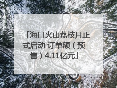 海口火山荔枝月正式启动 订单额（预售）4.11亿元