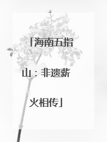 海南五指山：非遗薪火相传