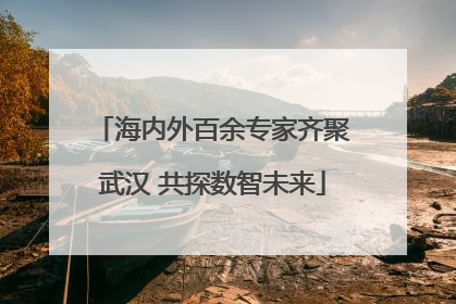 海内外百余专家齐聚武汉 共探数智未来