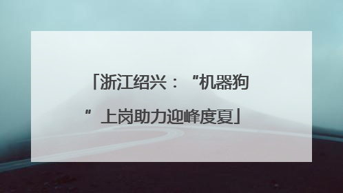 浙江绍兴：“机器狗”上岗助力迎峰度夏