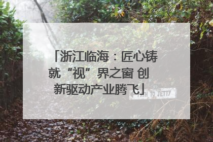 浙江临海：匠心铸就“视”界之窗 创新驱动产业腾飞