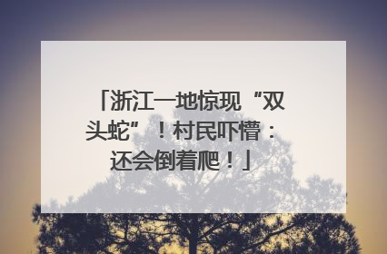 浙江一地惊现“双头蛇”！村民吓懵：还会倒着爬！