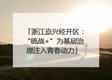 浙江嘉兴经开区：“统战+”为基层治理注入青春动力
