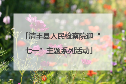 清丰县人民检察院迎“七一”主题系列活动