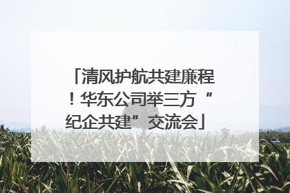 清风护航共建廉程！华东公司举三方“纪企共建”交流会