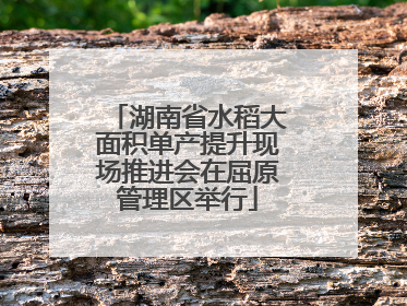 湖南省水稻大面积单产提升现场推进会在屈原管理区举行