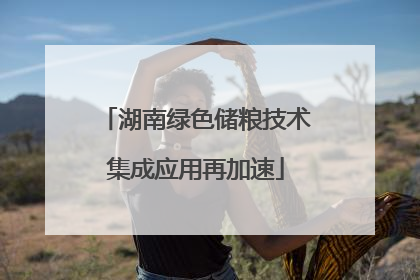湖南绿色储粮技术集成应用再加速