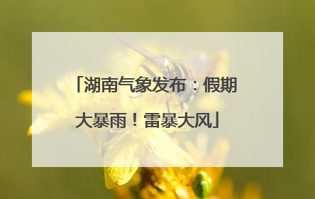 湖南气象发布：假期大暴雨！雷暴大风