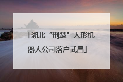 湖北“荆楚”人形机器人公司落户武昌