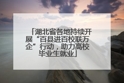 湖北省各地持续开展“百县进百校联万企”行动，助力高校毕业生就业