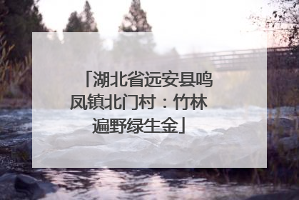 湖北省远安县鸣凤镇北门村：竹林遍野绿生金