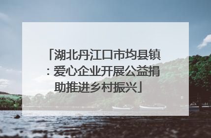 湖北丹江口市均县镇：爱心企业开展公益捐助推进乡村振兴